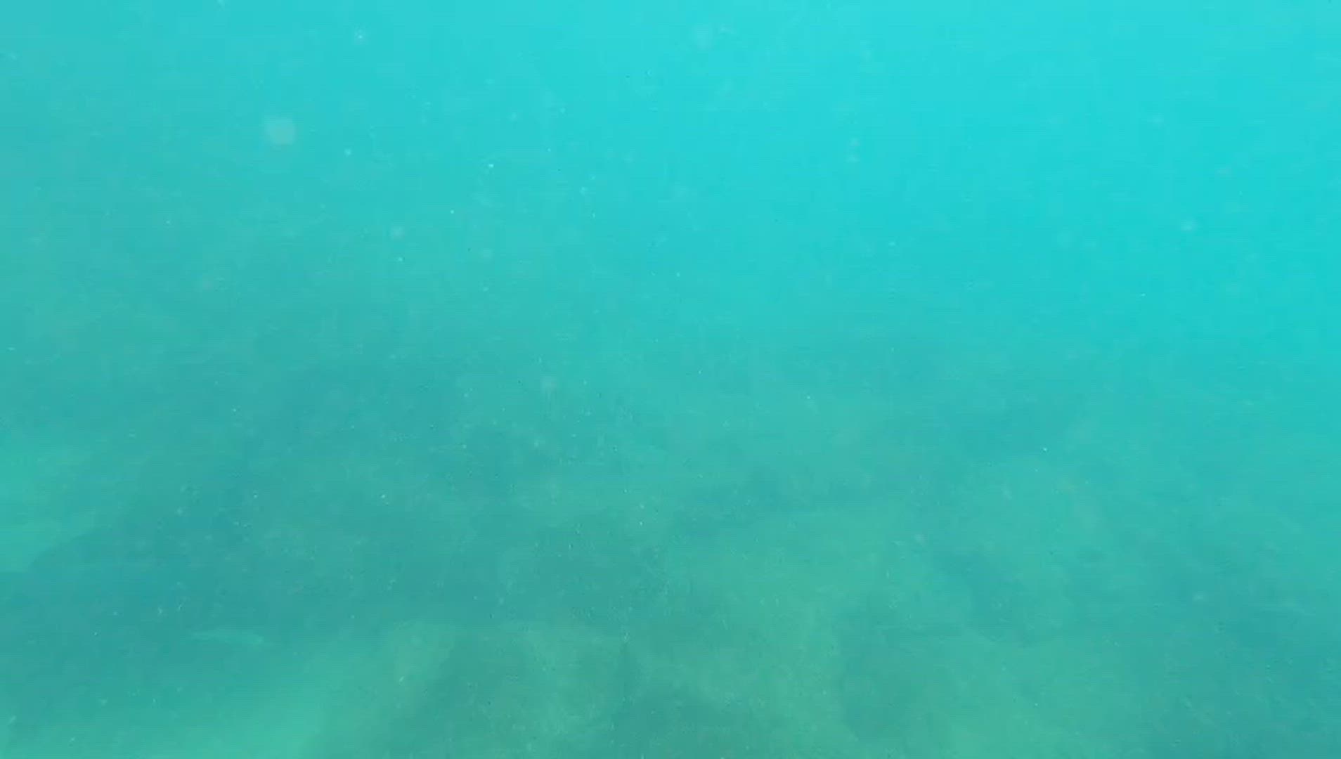 Le meilleur des Galápagos customer review video