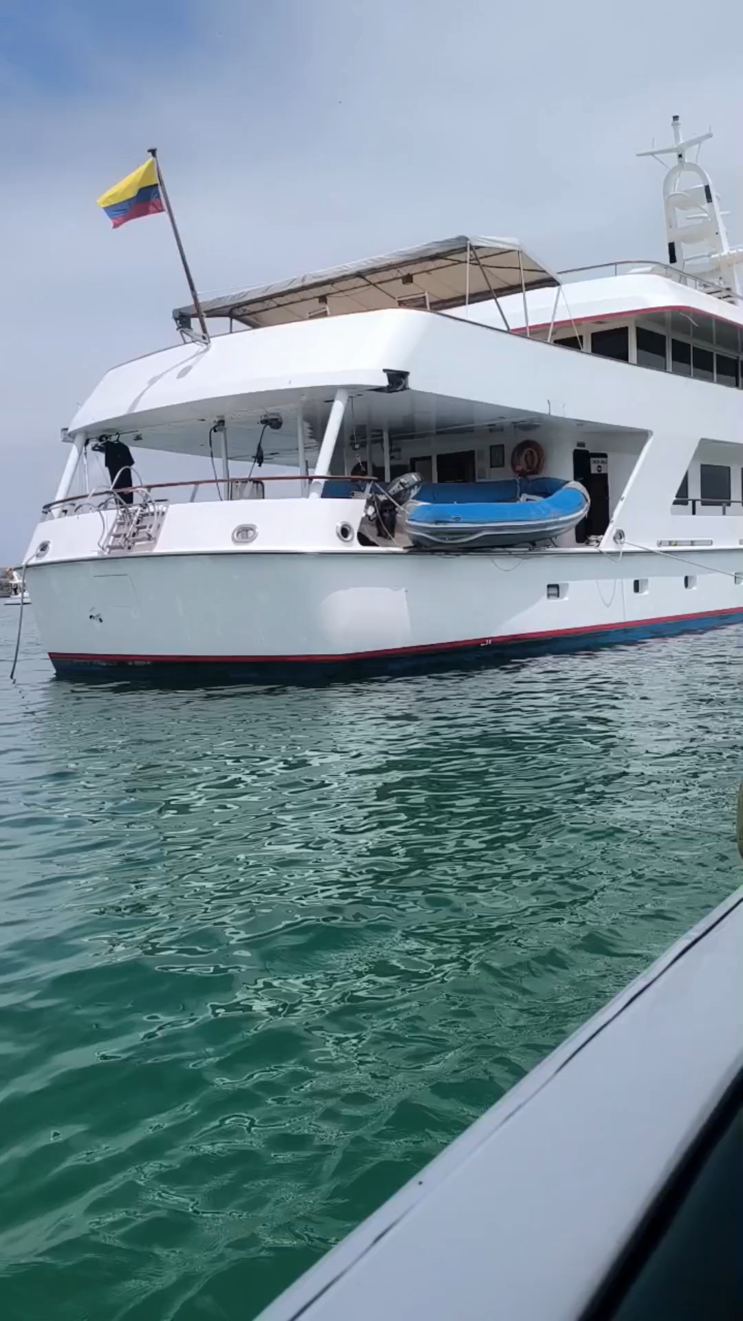 Encuentra el circuito adecuado para ti en Puerto Ayora. Tenemos 88 aventuras en Puerto Ayora, empezando desde un día de duración, y el circuito más largo de 7 días.