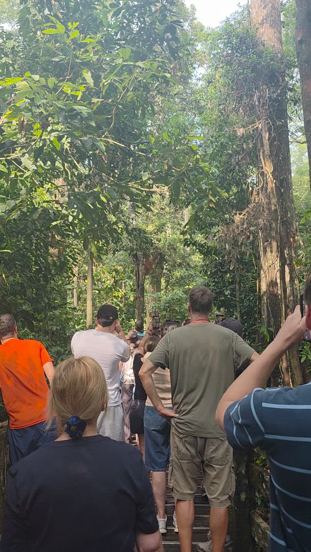 Trouvez votre circuit idéal au Malaisie. Nous avons 151 aventures à vous proposer au Malaisie entre 3 et 20 jours.
