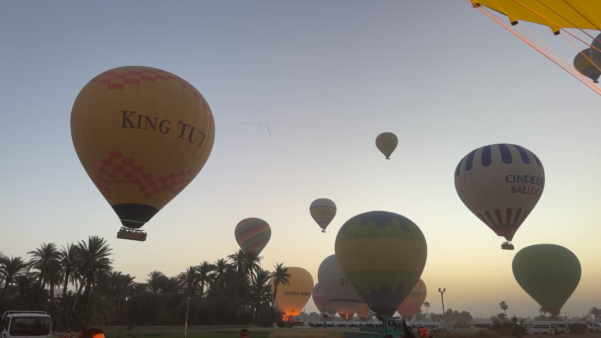 Sur les traces des Pharaons - Vols intérieurs inclus customer review video