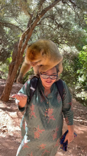 Trouvez votre circuit idéal dans la région Nord du Maroc. Nous avons 241 aventures à vous proposer dans la région Nord du Maroc. Le mois le plus apprécié pour s'y rendre est Octobre, c'est-à-dire le mois qui compte le plus grand nombre de départs.