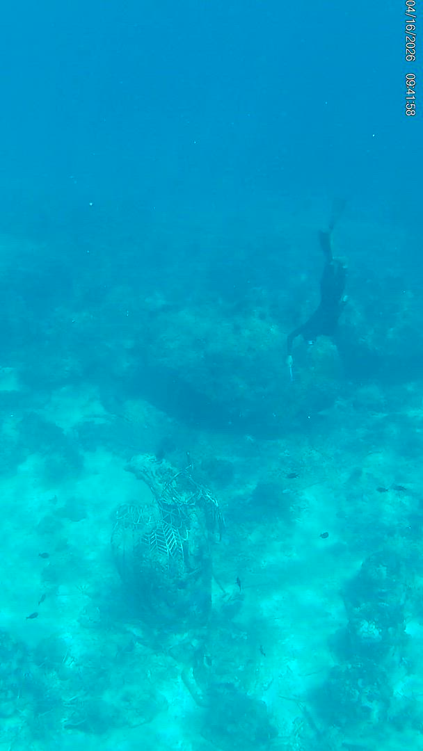 Bali Classic 12 jours - One Life Adventures customer review video