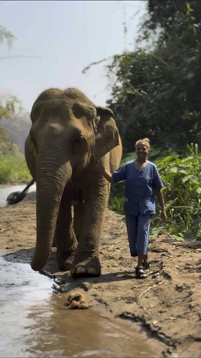 Trouvez votre circuit idéal en Thaïlande. Nous avons 610 aventures à vous proposer en Thaïlande entre une journée et 27 jours. Le mois le plus apprécié pour s'y rendre est octobre, c'est-à-dire le mois qui compte le plus grand nombre de départs.