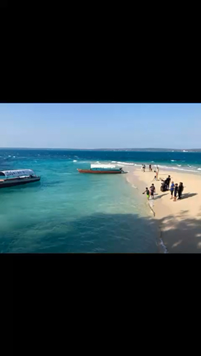 Welcome to Zanzibar’s amazing natural sights. Prison Island hosts giant tortoises moving slowly, unbothered, while Nakupenda Sandbank only exists at low tide, making snorkeling feel special. Zanzibar's beaches have sand that squeaks under your feet, while Stone Town's spice markets smell overwhelming in the best way—cardamom, cloves, cinnamon mixing. Off Tanzania's coast, the island blends everything perfectly together.