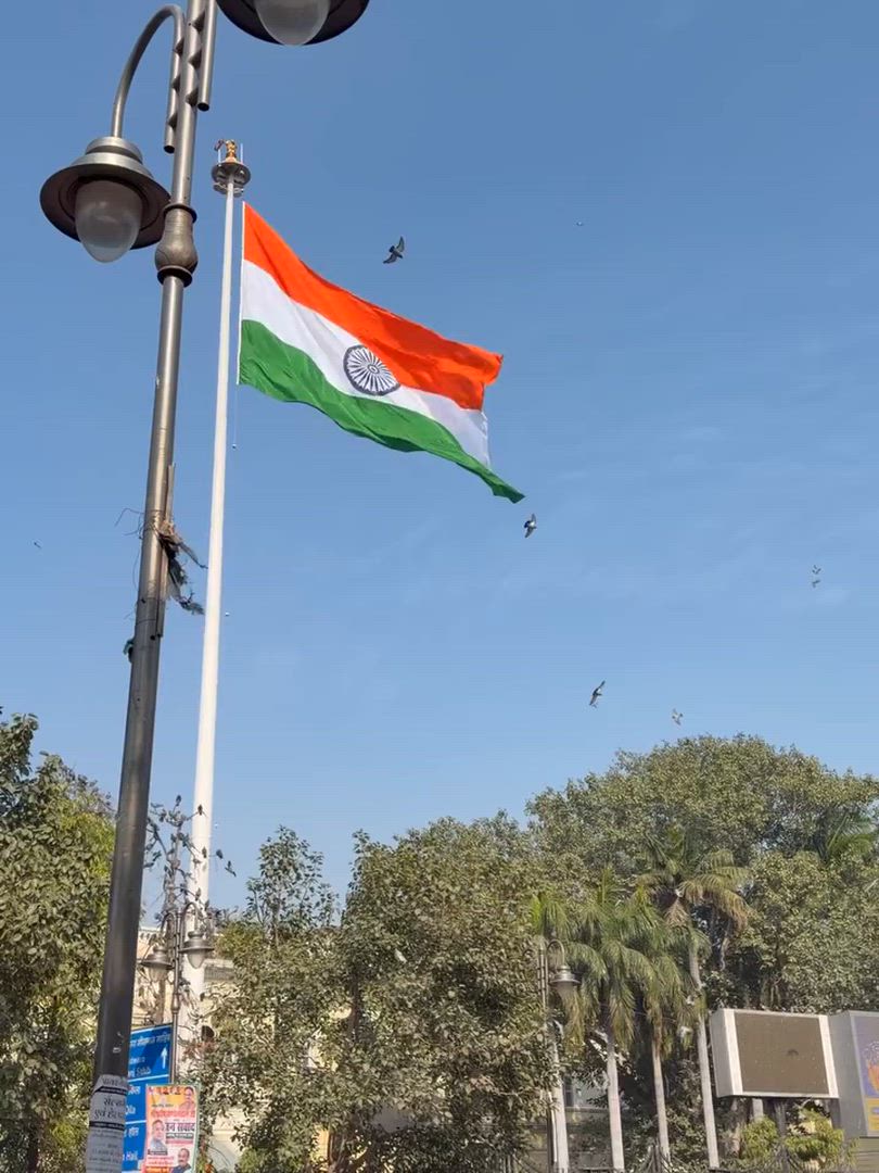 Le Triangle d'or de l'Inde : Une aventure de 7 jours depuis l'aéroport de Delhi vers Agra, Ranthambore et Jaipur customer review video