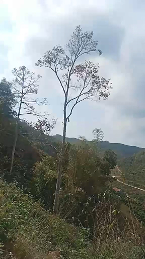 TourRadar a réuni les meilleurs Vietnam treks et randonnées. Nous vous proposons 215 aventures dans 2 pays différents. Ces circuits durent entre une journée et 21 jours.