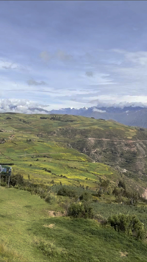 Picture yourself swimming in the beautiful Cenote Azul, or exploring the Maya ruins, hidden in thick forests. You can learn how to make a traditional Belizean meal by cooking with local families who share their tips. You can also snorkel near the second-longest reef in the world, where colorful fish swim through coral gardens. Feel the rhythm of Latin America.