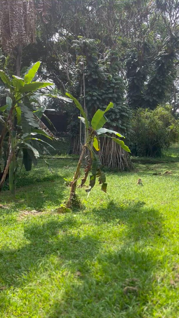 Splendeur du Sri Lanka - (Circuit de 8 jours et 7 nuits au Sri Lanka) customer review video