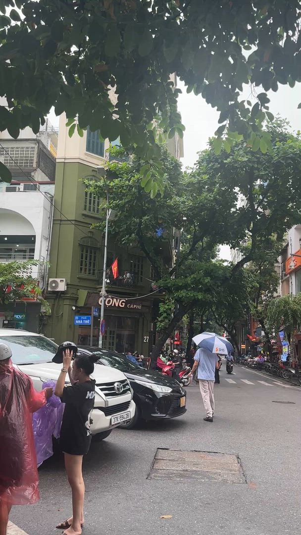 video met klantbeoordeling van Vietnam Superdeal pakket in 12 dagen - De meest iconische bestemmingen