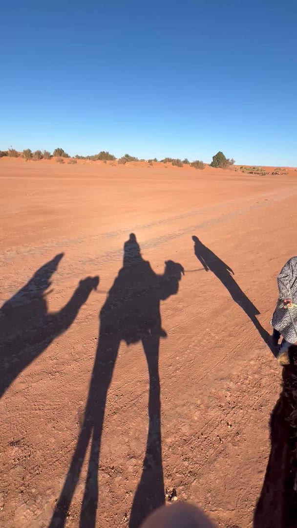 11-Days Private Tour From Marrakech To Chefchaouen &amp; Imperial Cities &amp; Erg Chebbi Luxury Desert Camp customer review video