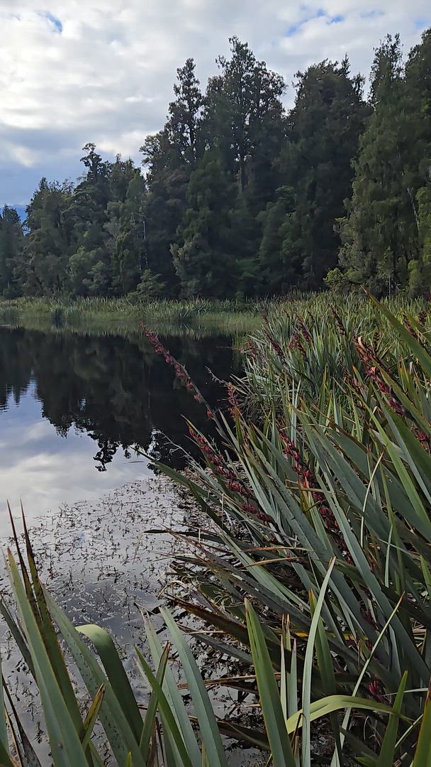 Les points forts de la Nouvelle- Zélande customer review video