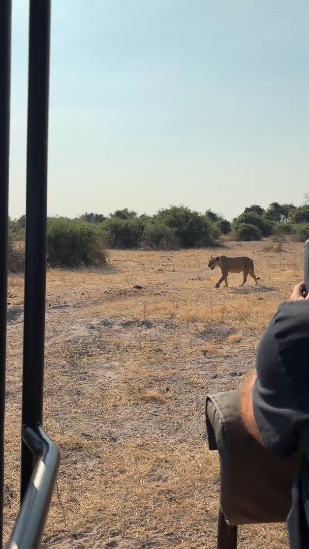 Trouvez votre Afrique circuit jeep et 4x4 idéal. Vous avez le choix entre pas moins de 1389 voyages durant entre une journée et 40 jours. Le mois comptant le plus grand nombre de départs est Octobre, ce qui en fait le moment le plus apprécié pour aller en Afrique.