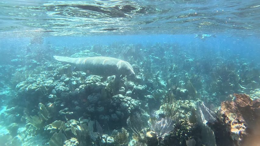 Mayan Adventure: Mexico, Belize &amp; Guatemala Tour