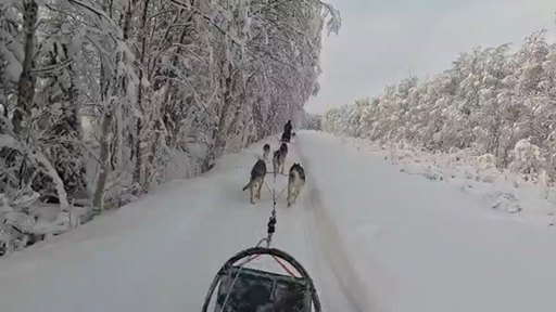 Sail the River Thames for a fresh perspective on London's iconic sights, and take your time exploring the city's well-known landmarks. Experience Paris's stunning architecture and its vibrant arts scene, or meander through Zurich's picturesque Old Town, where medieval structures hug the cobblestone lanes. Marvel at Milan's magnificent Duomo and the chic galleries that blend fashion and art. Western Europe is a true delight.