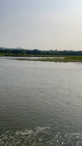 Träumen Sie von einer Nepal Safari? Auf TourRadar finden Sie ganz einfach die passende aus über 250 Safaris. Ganz einfach den passenden Reiseveranstalter finden dank 945 Erfahrungsberichten.