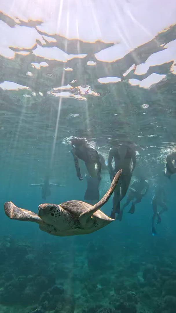 Bali Classic 12 jours - One Life Adventures vidéo d'avis client