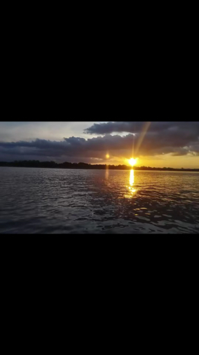 Vind de juiste reis voor jou naar Amazonegebied Ecuador. We hebben 54 reizen die naar Amazonegebied Ecuador gaan, de kortste is 3 dagen lang, en de langste is 15 dagen.