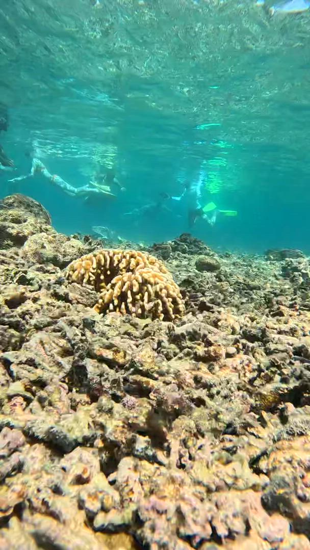 Bali Classic 12 jours - One Life Adventures customer review video