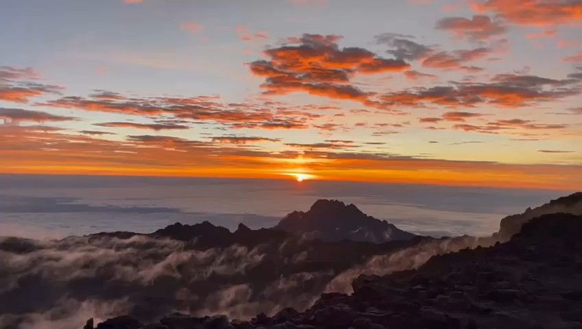 Kilimanjaro Climbing Via Lemosho Route 10 Days (all accommodation and transport are included) Tour