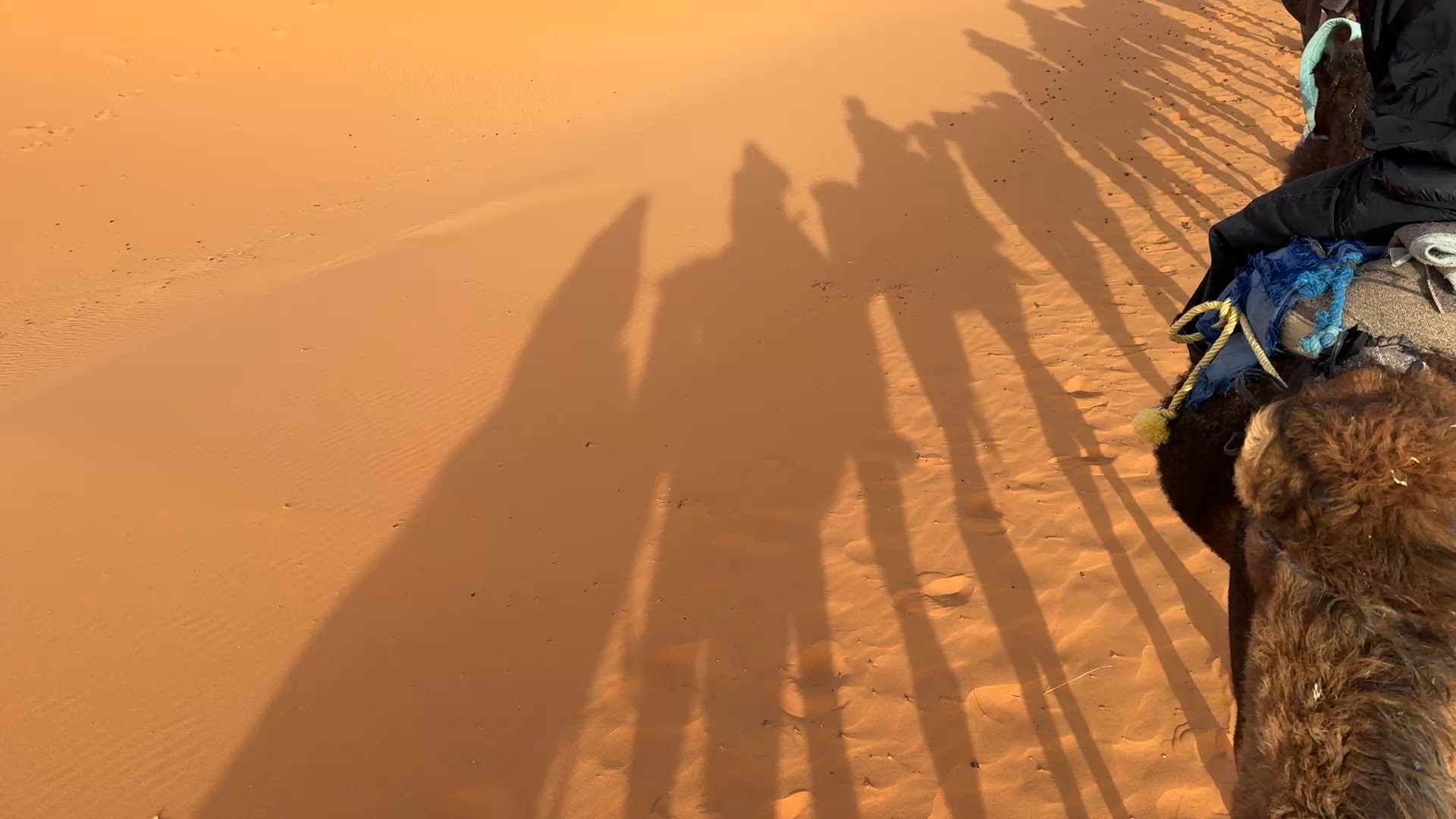Timeless Morocco customer review video
