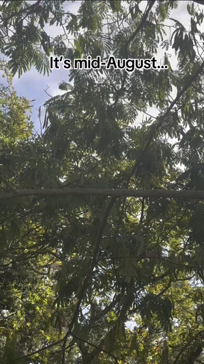 Choisissez parmi notre vaste sélection de 508 circuits entièrement guidés et vivez une expérience sans tracas vers Grèce, guidés par nos experts.