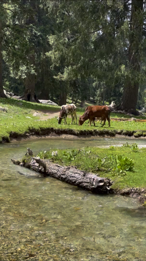 Trouvez le circuit idéal pour votre famille, adapté à tous les âges avec plus de 150 circuits familiaux disponibles dans la région Pakistan.