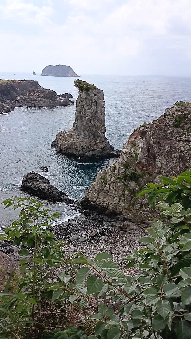 Vídeo de reseña del cliente sobre Aventura de 12 días en Corea del Sur: desde Seúl hasta la isla de Jeju