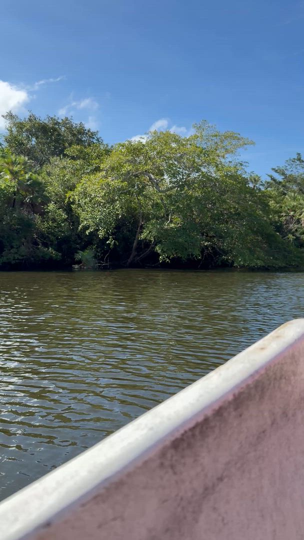 Vídeo de reseña del cliente sobre Tierra de Belice y Tikal