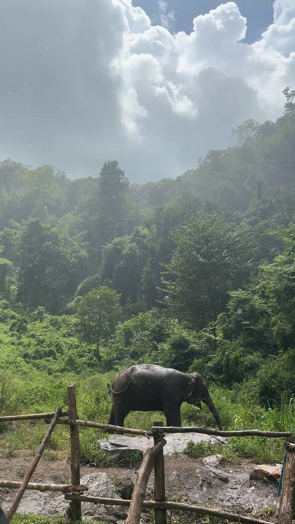 31-Day Southeast Asia Adventure: Thailand, Laos, Vietnam, and Cambodia customer review video
