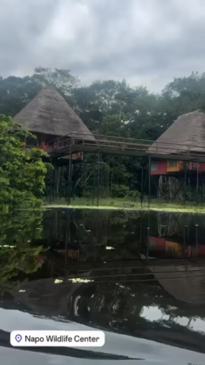 Vind de juiste reis voor jou naar Amazonegebied Ecuador. We hebben 54 reizen die naar Amazonegebied Ecuador gaan, de kortste is 3 dagen lang, en de langste is 15 dagen.