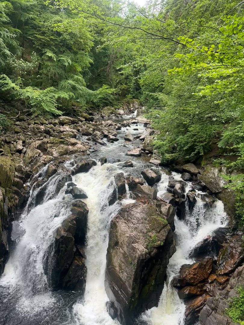 Highlands & Skye Trail customer review video