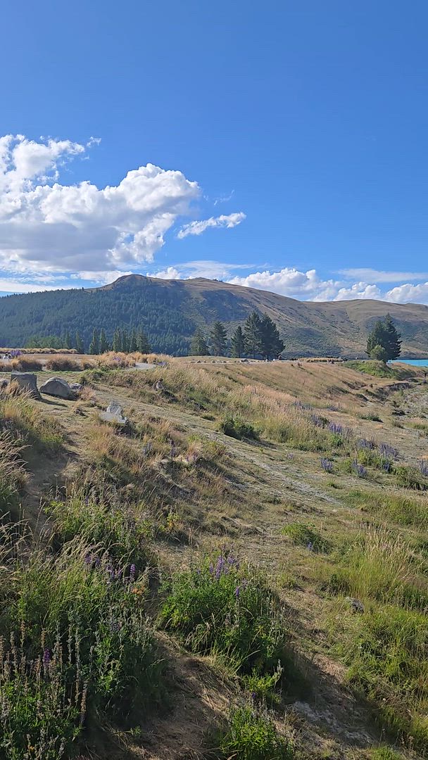 Les points forts de la Nouvelle- Zélande customer review video