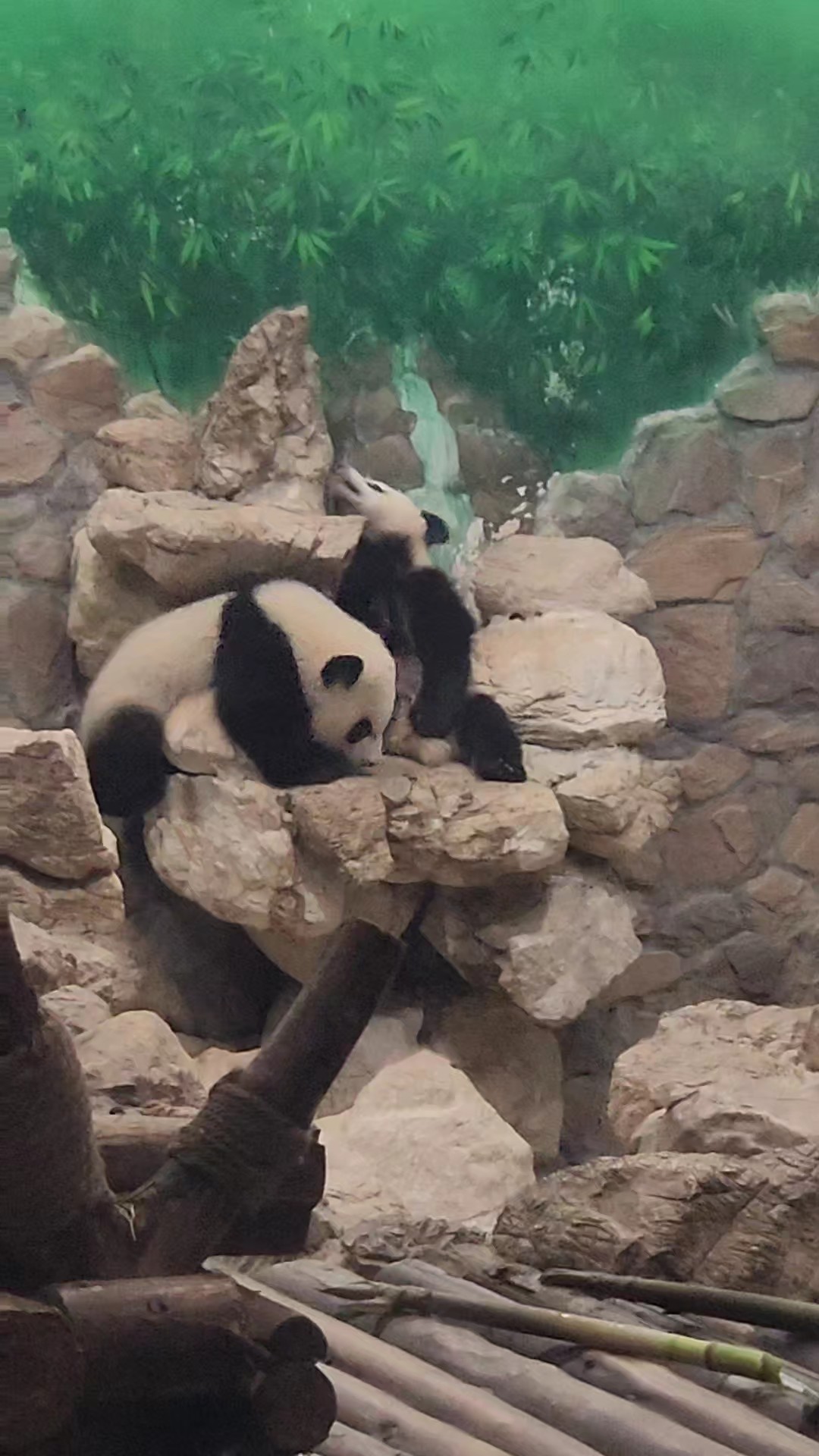Visita China con tu propio grupo o en solitario