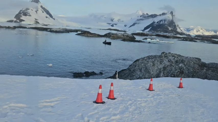 Antarctica Classic Tour
