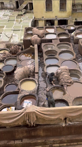 Trouvez votre circuit idéal en Afrique. Nous avons 9529 aventures à vous proposer en Afrique entre une journée et 269 jours. Le mois le plus apprécié pour s'y rendre est octobre, c'est-à-dire le mois qui compte le plus grand nombre de départs.