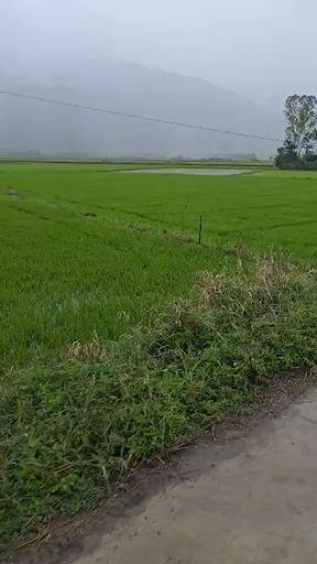 Trouvez votre Asie circuit vélo idéal. Vous avez le choix entre pas moins de 214 voyages durant entre une journée et 27 jours. Le mois comptant le plus grand nombre de départs est Octobre, ce qui en fait le moment le plus apprécié pour aller en Asie.