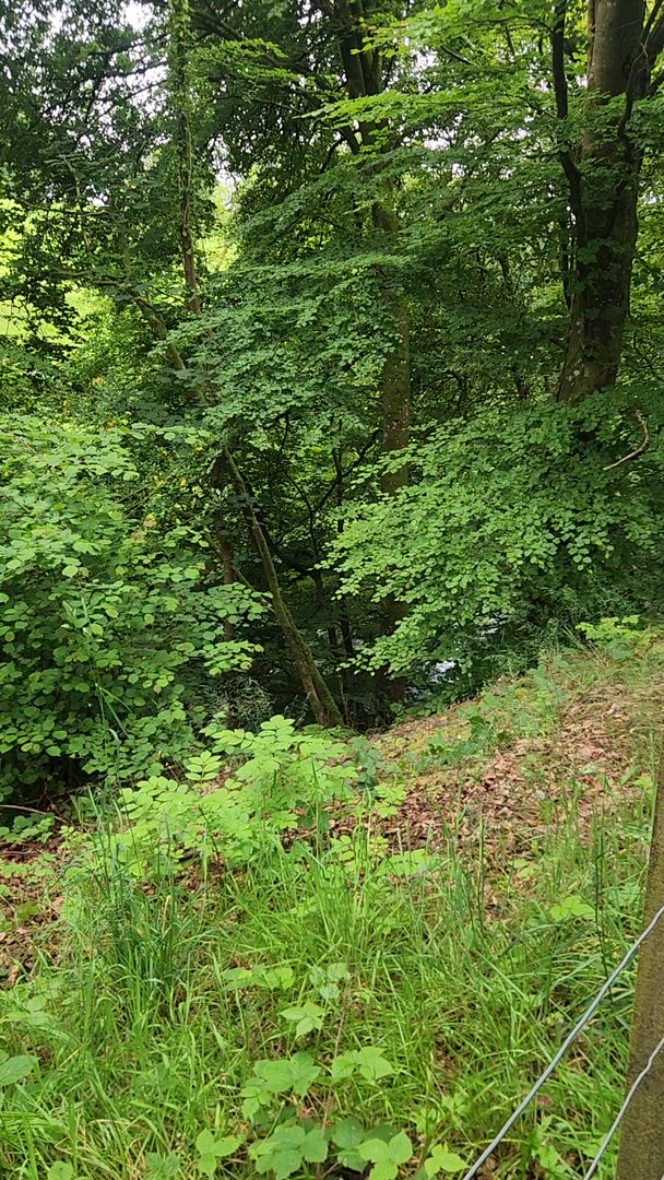 Circuit de 4 jours en petit groupe sur la piste de l'Outlander au départ d'Édimbourg, entrées incluses customer review video