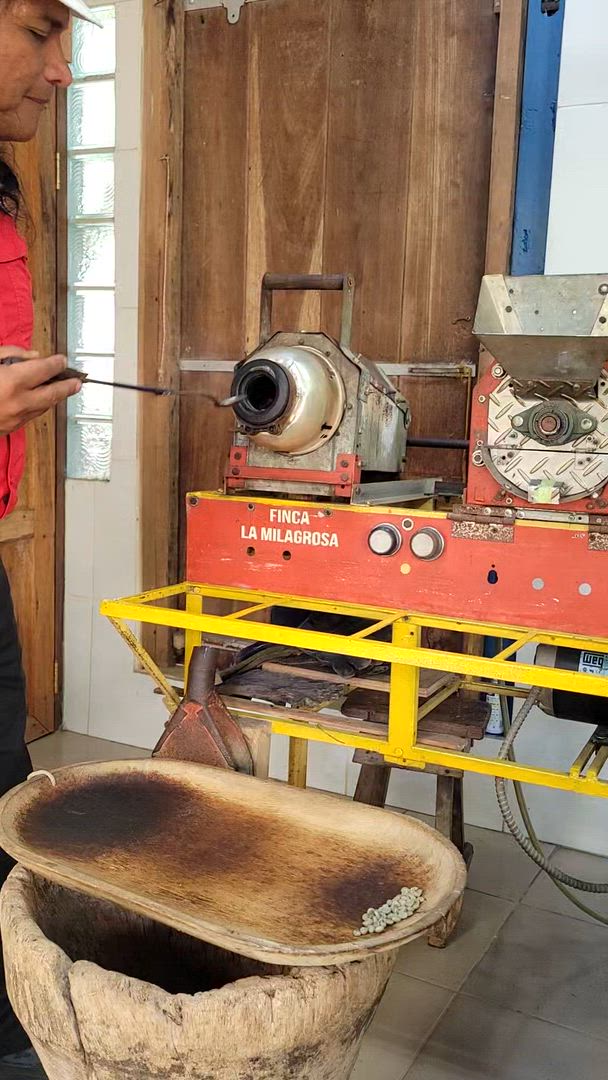 9 jours à travers le Panama : Culture, montagne et paradis caribéen customer review video