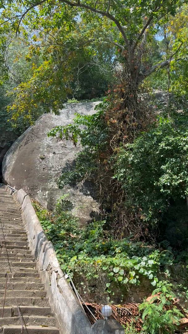video met klantbeoordeling van Grote rondreis door Sri Lanka