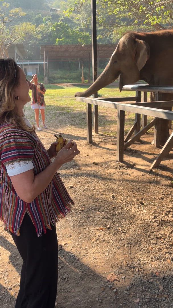 Amazing Thailand In 9 Days customer review video