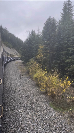 Trouvez votre circuit idéal au Vancouver. Nous avons 96 aventures à vous proposer au Vancouver entre une journée et 7 jours.