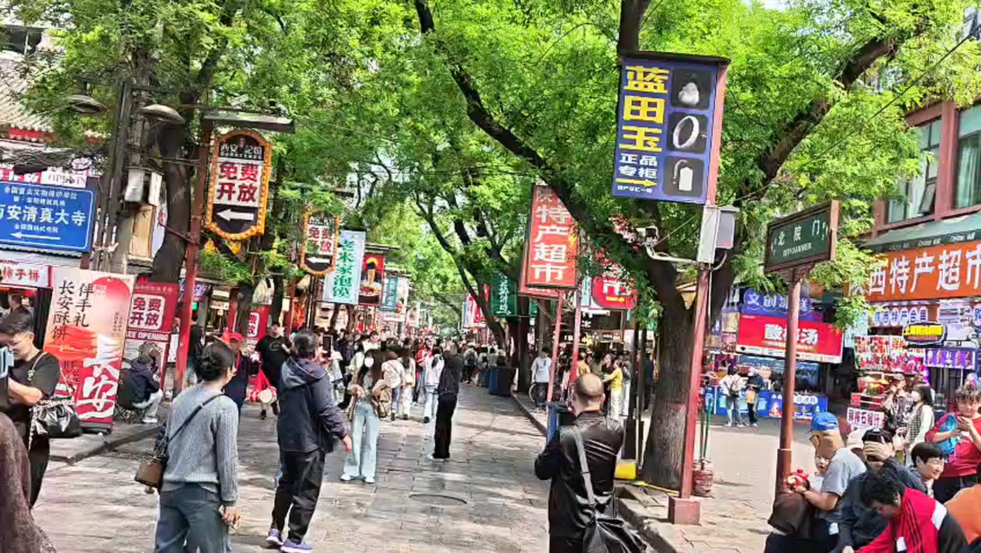 Customized 8 Days Luxury China Family Tour with 5-star Hotels, Private Guide & Driver customer review video 