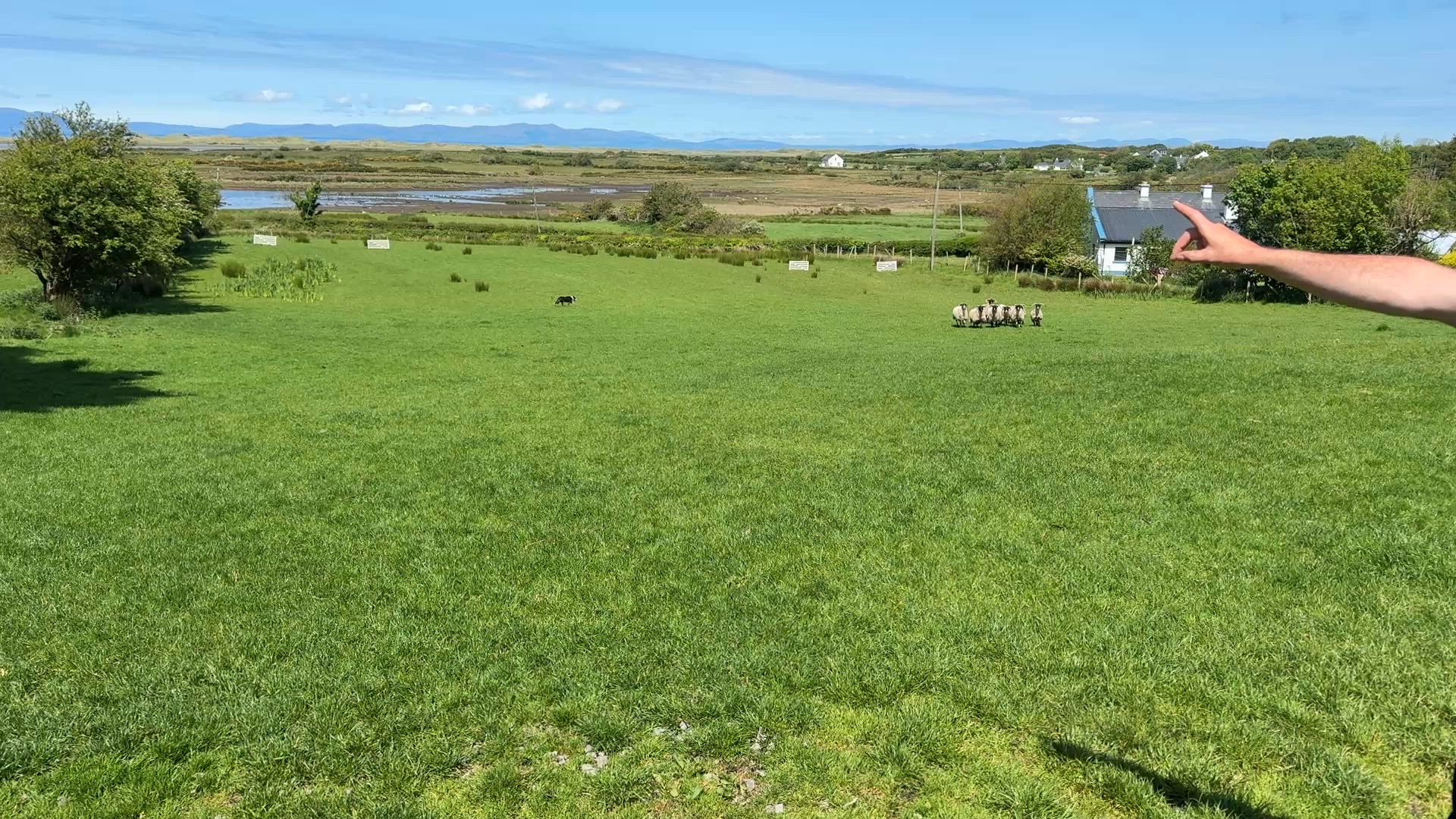 Circuit en petit groupe de 10 jours en Irlande customer review video