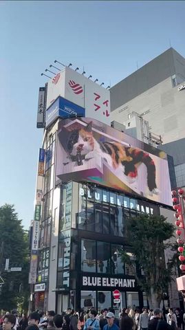 Circuito 14 Días Japón Panorámico (Hoteles Privados 3 Estrellas)