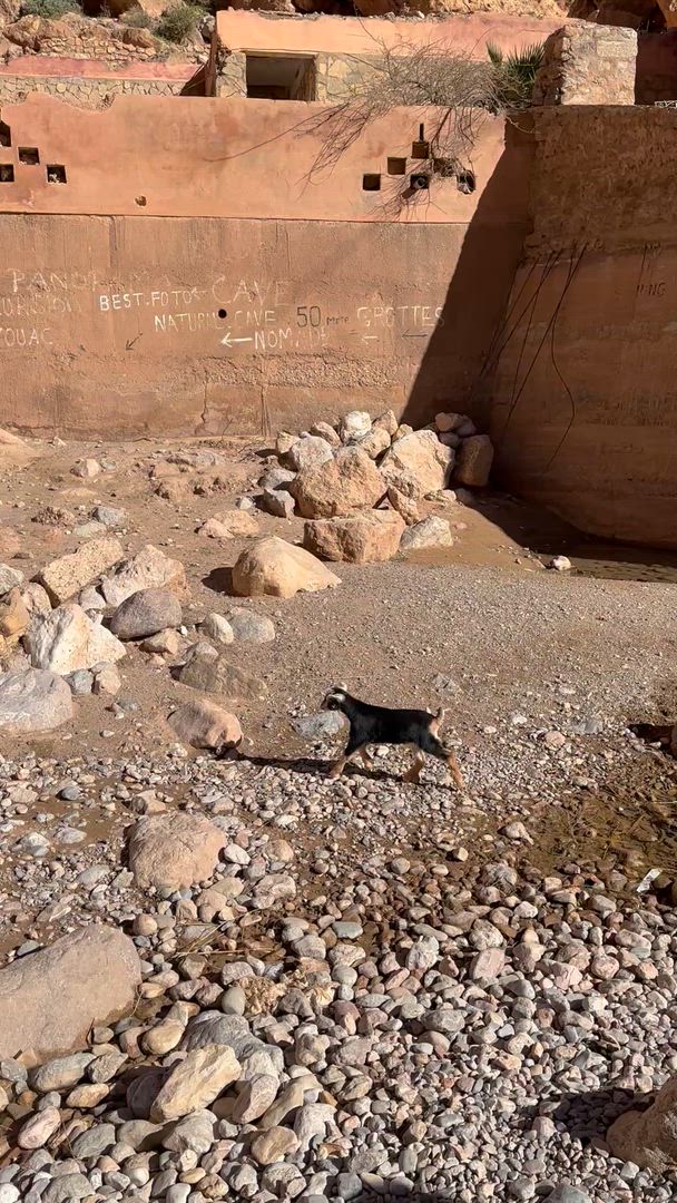 3 Tage Wüstengruppenreise von Marrakesch zum Merzouga Wüstencamp customer review video