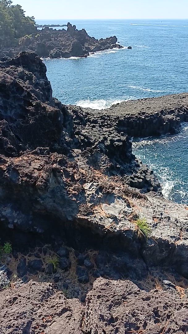 Vídeo de reseña del cliente sobre Aventura de 12 días en Corea del Sur: desde Seúl hasta la isla de Jeju