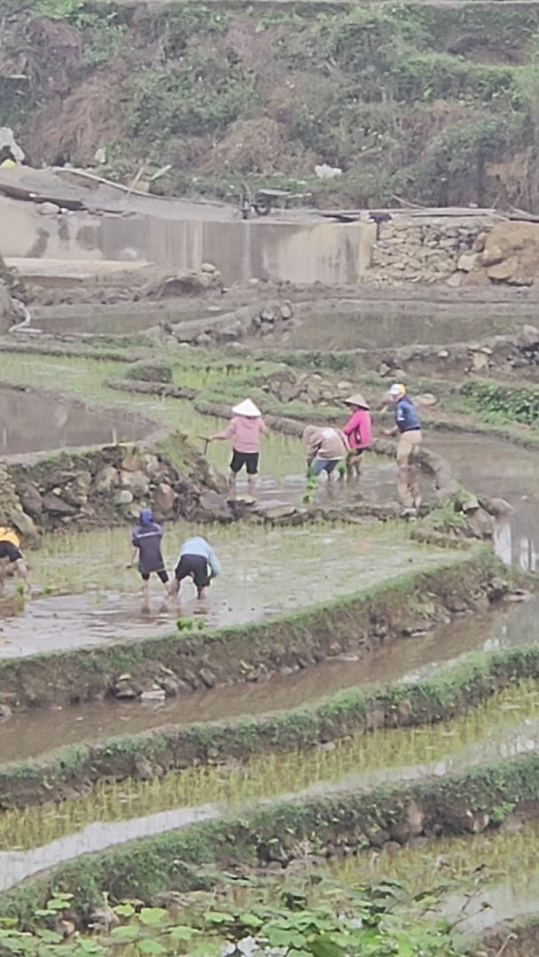 Les points forts du nord du Vietnam en 6 jours customer review video