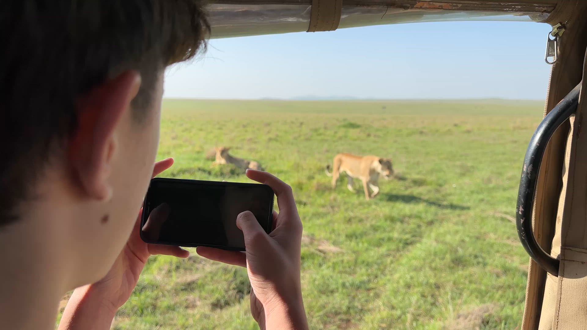 Vídeo de reseña del cliente sobre Asequible Safari de Lujo de 3 Días en Masai Mara, Kenia - Con Noche Gratis en Hotel de Nairobi