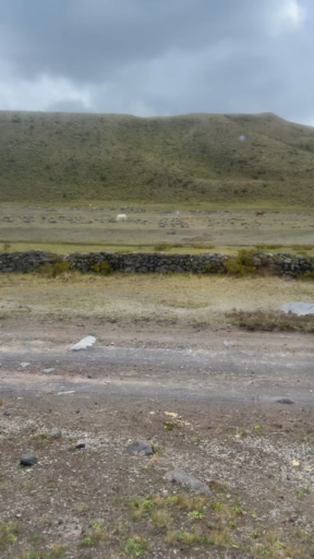 Trouvez votre circuit idéal dans la région Hauts plateaux andins (Équateur). Nous avons 167 aventures à vous proposer dans la région Hauts plateaux andins (Équateur). Le mois le plus apprécié pour s'y rendre est Octobre, c'est-à-dire le mois qui compte le plus grand nombre de départs.