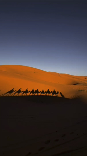 Trouvez votre circuit idéal au Nkob. Nous avons 56 aventures à vous proposer au Nkob entre 2 et 7 jours.